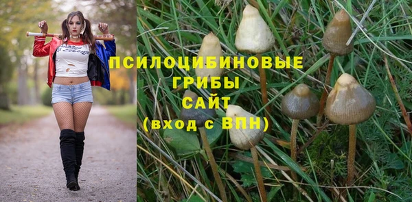 стафф Абаза