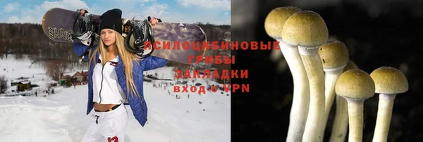 стафф Абаза