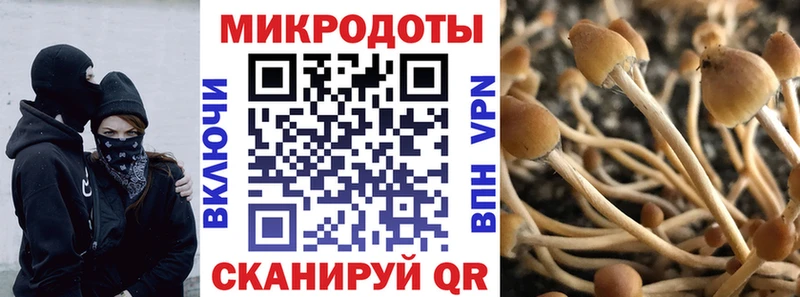 Псилоцибиновые грибы ЛСД  Ядрин 